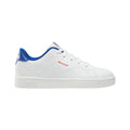 Court Clean Shoes