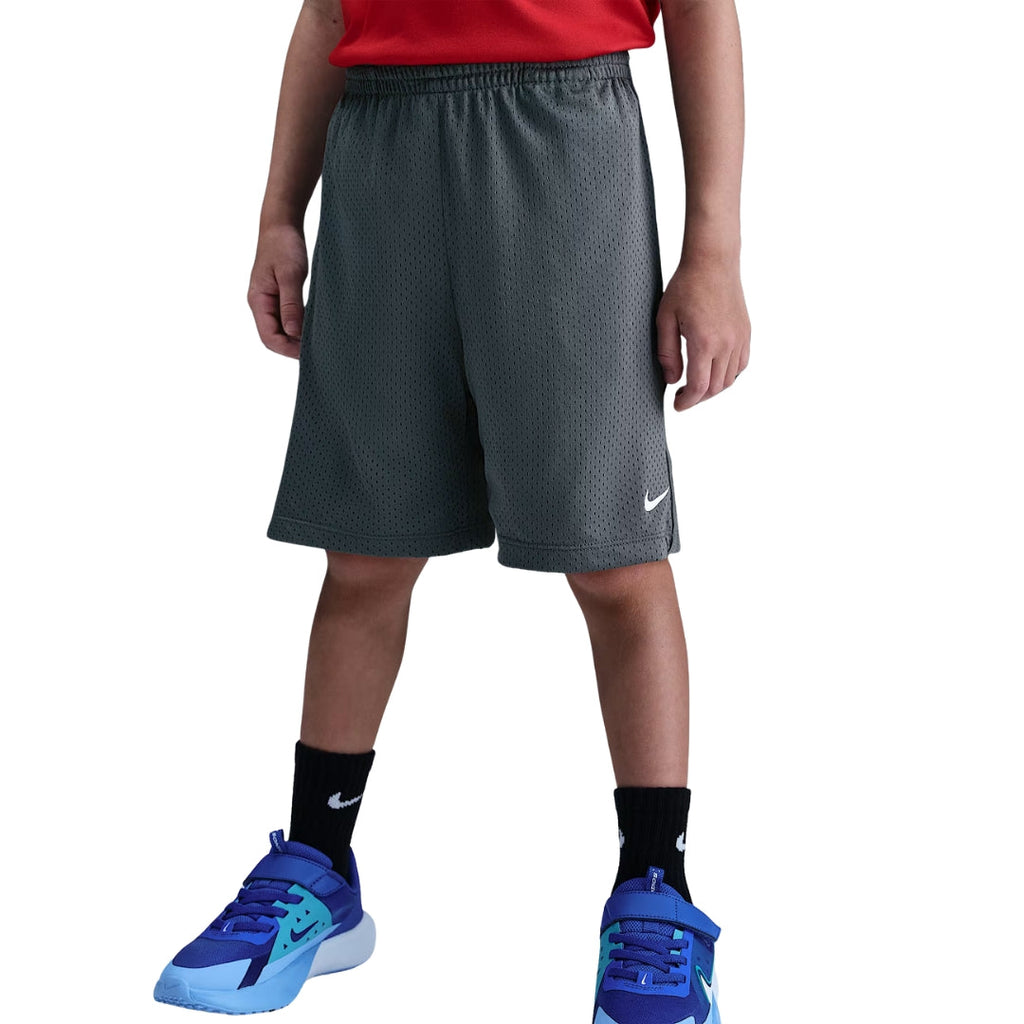 Dri-FIT Multi Mesh Shorts
