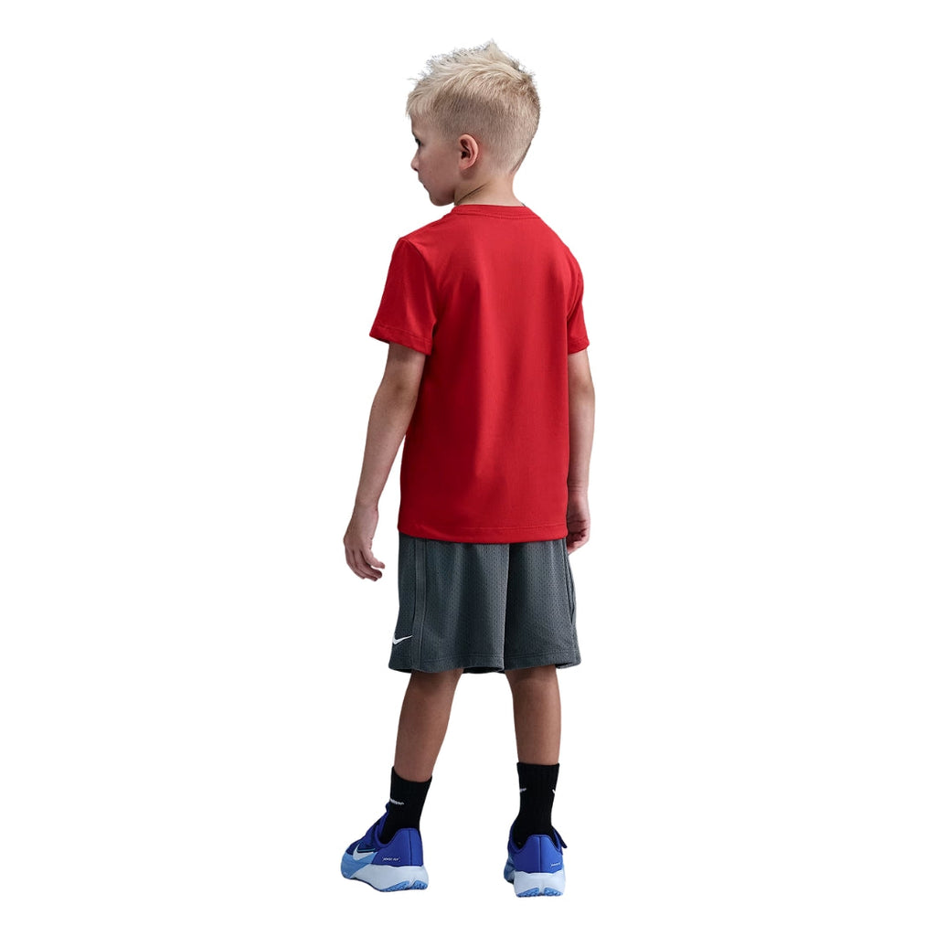 Dri-FIT Multi Mesh Shorts