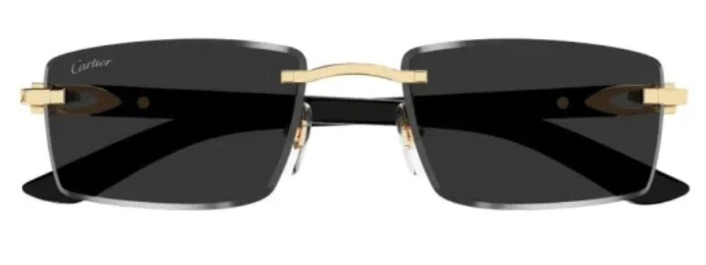 Cartier Eyewear CT0582S Rimless Metal Sunglasses — Black