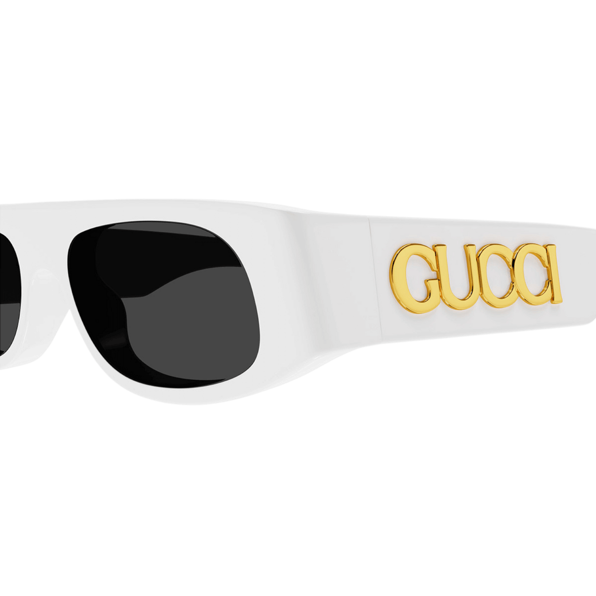 Gucci Women's Sunglasses Recycled Acetate GG1771S-002
