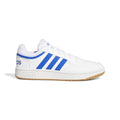 Hoops 3.0 Low Classic Vintage Shoes