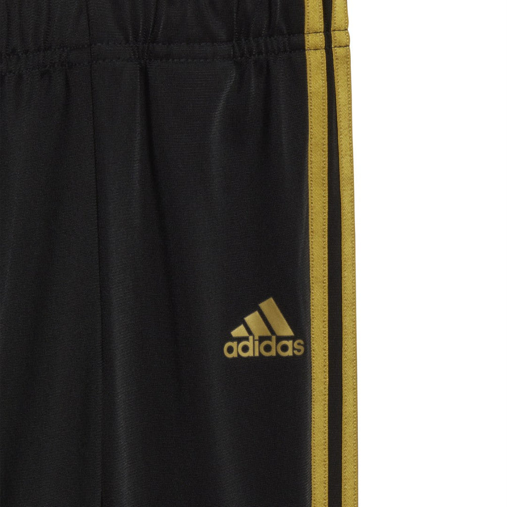 Essentials Shiny Hooded Track Suit
