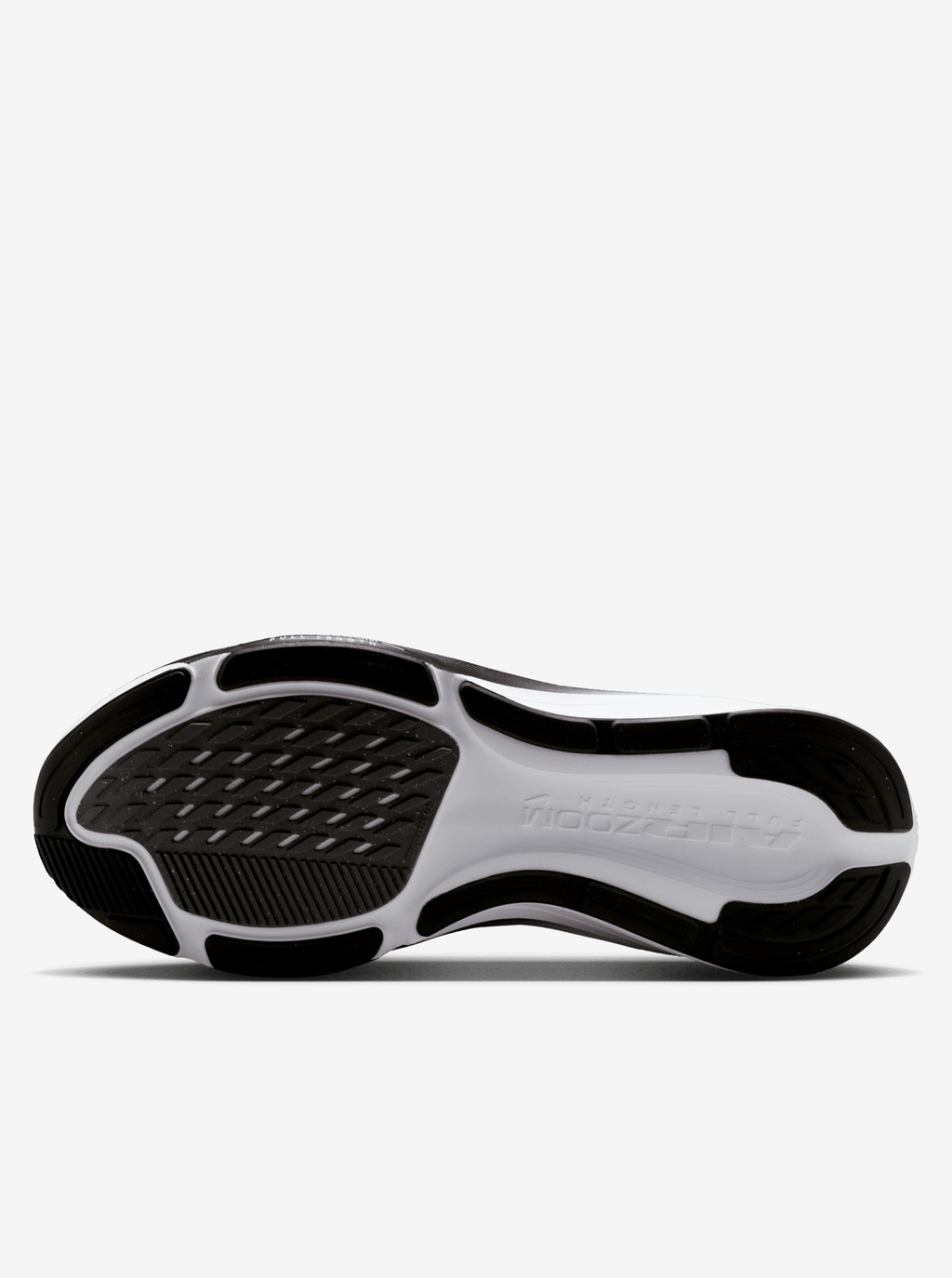 Pegasus 42 Womens