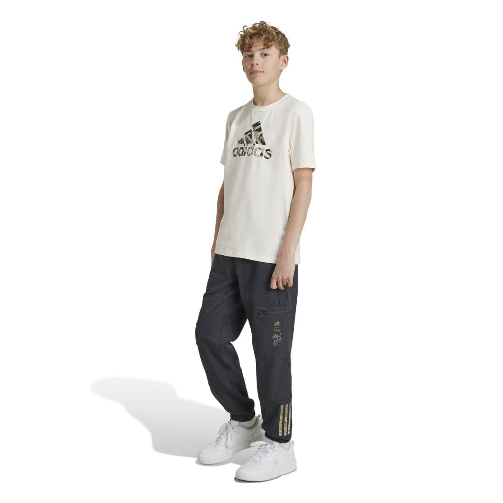 Disney Lion King Pants