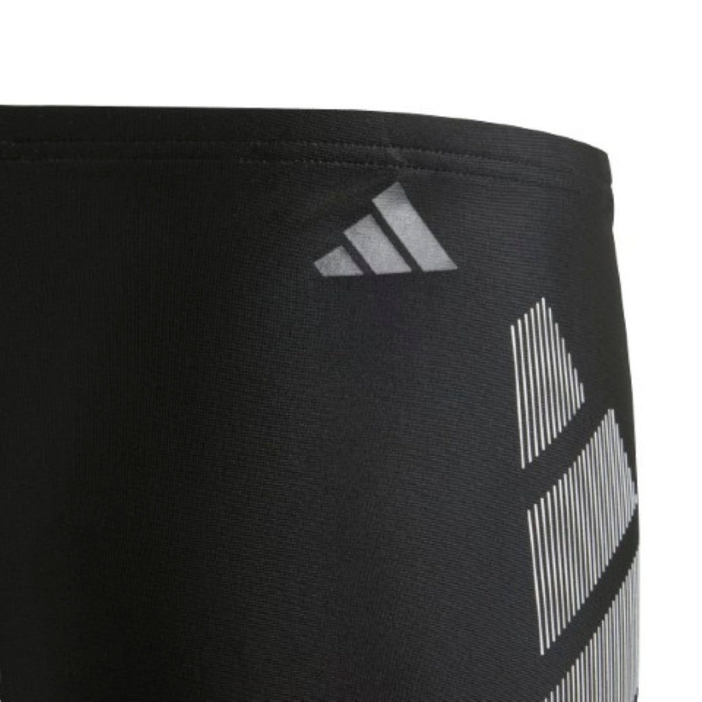 Big Bars Swim Boxers