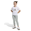 Seasonals Animal Matching Set