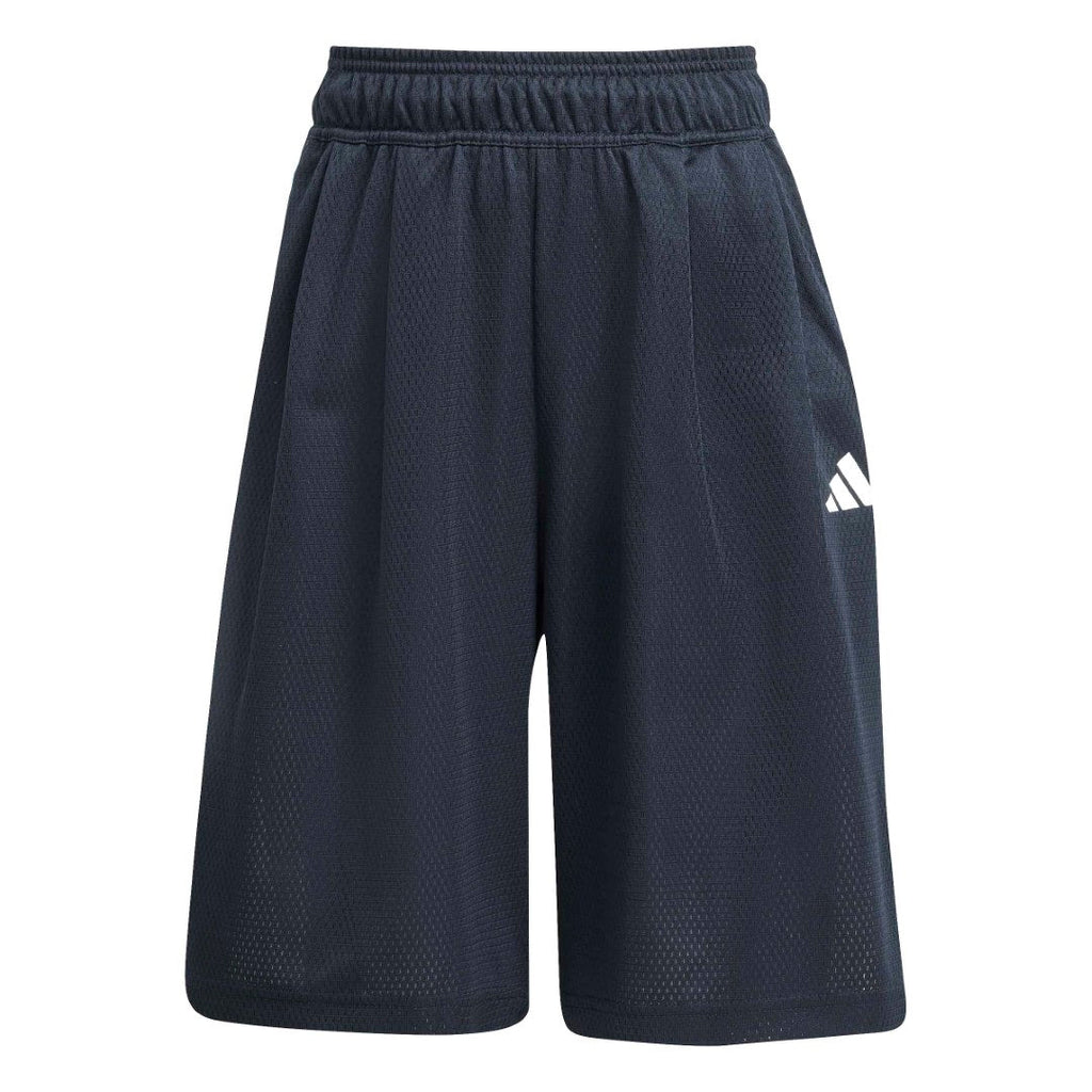 Stadium Mesh Short