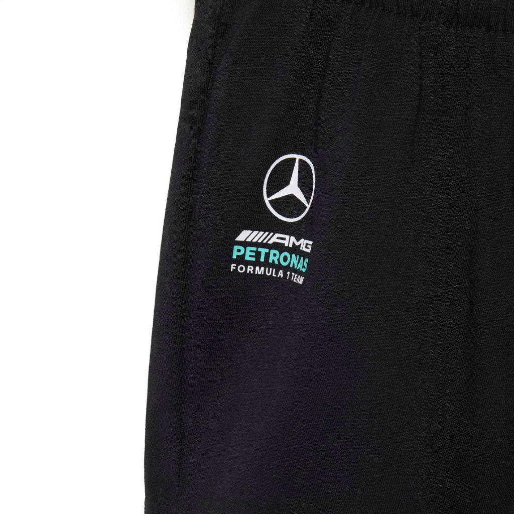 Mercedes - Amg Petronas Formula 1 Team Dna Baby Matching