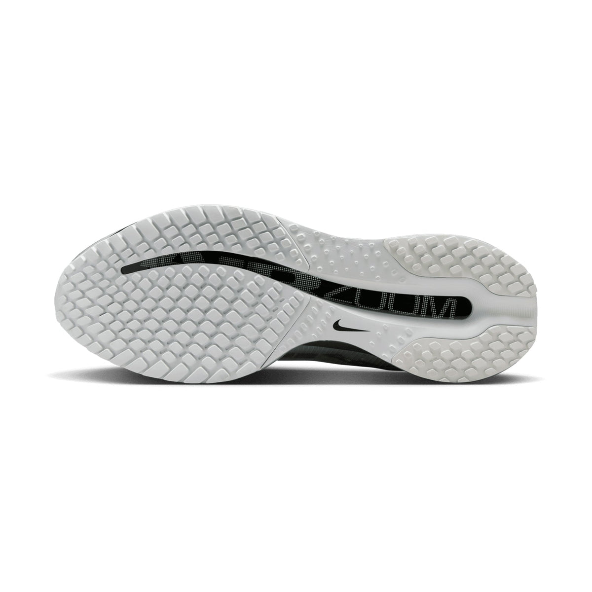 Men's Pegasus Premium Running Shoes Photon Dust / Black / Metallic Silver