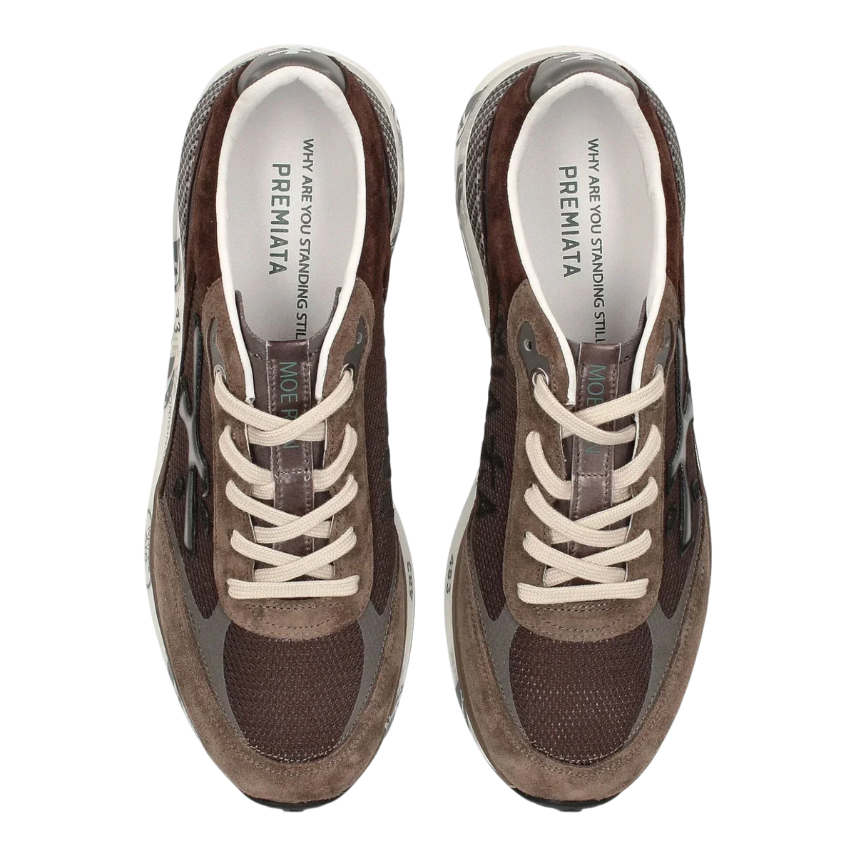 Premiata Moerun-6446 Chocolate for Men
