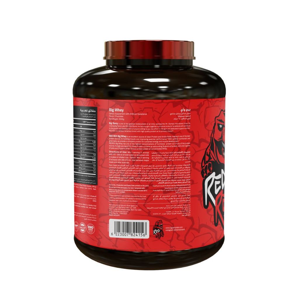 Big Whey Chocolate - 4.5 LB