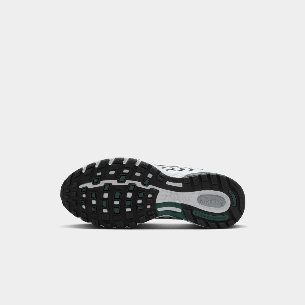 Nike Air Pegasus 2005 (W)