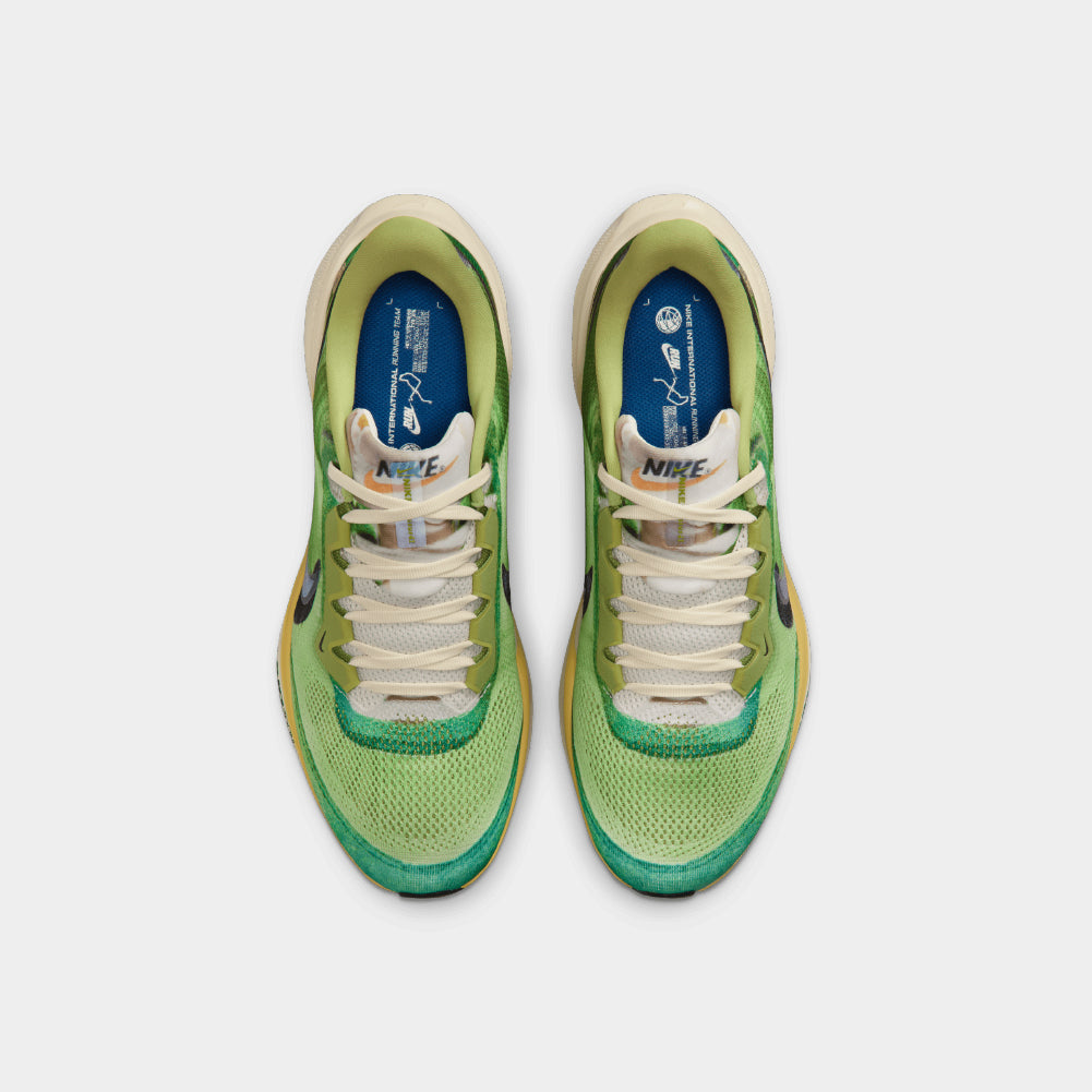 Nike Pegasus 41 SE